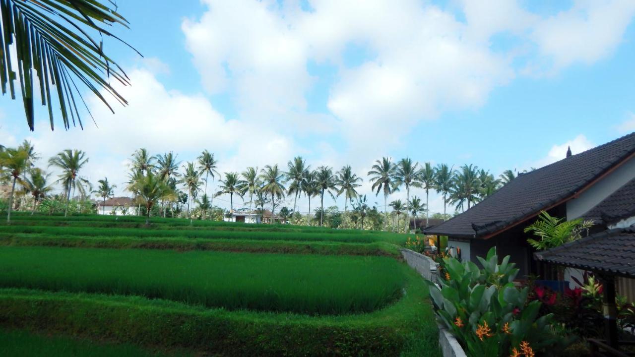 Amaya Cottage Ubud By Shm Extérieur photo