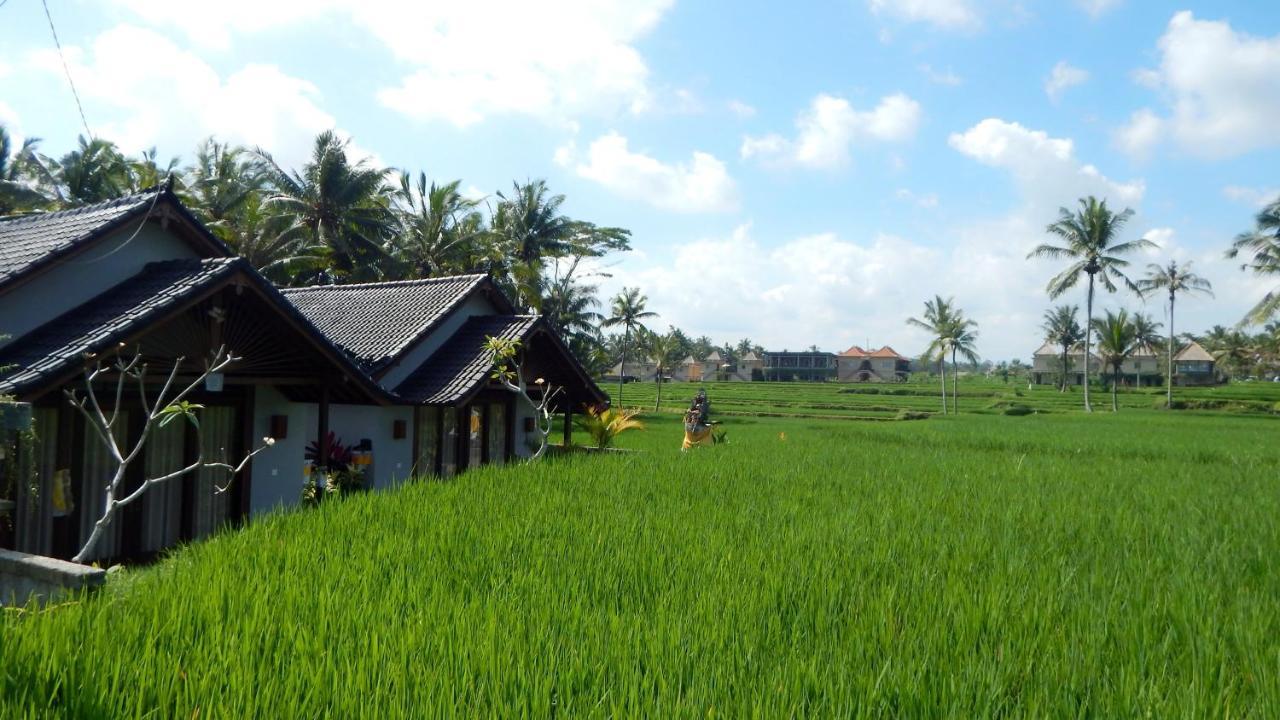 Amaya Cottage Ubud By Shm Extérieur photo