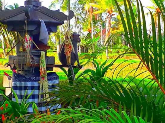 Amaya Cottage Ubud By Shm Extérieur photo
